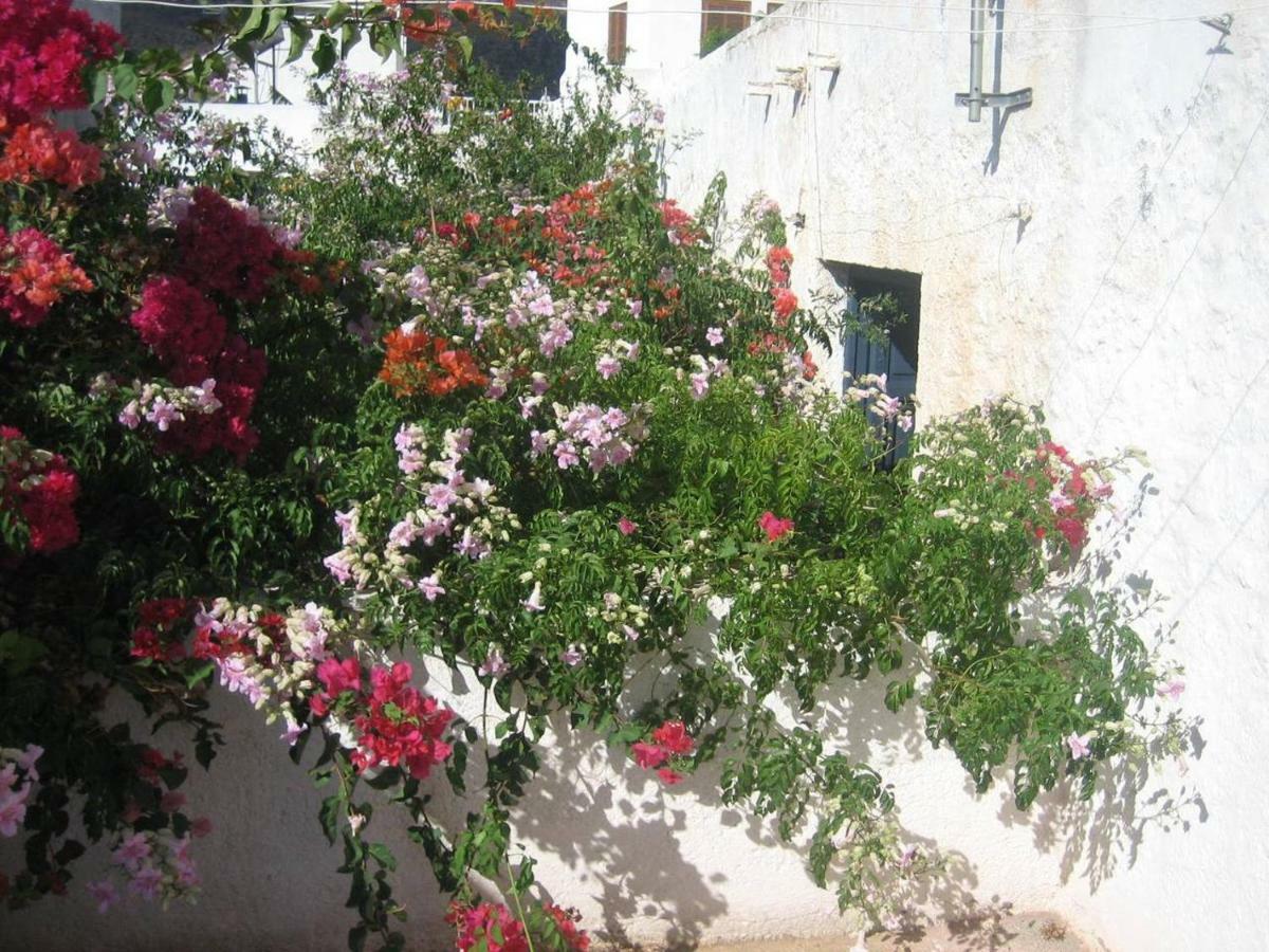 Casa De La Buganvilla Rodalquilar Eksteriør billede